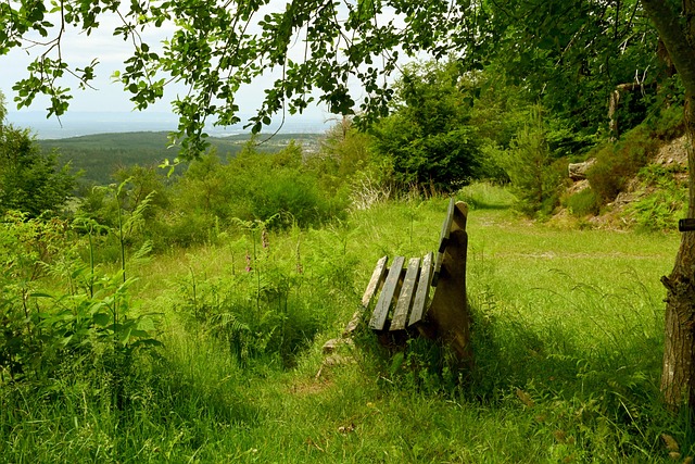示了他的职 示了他的职
