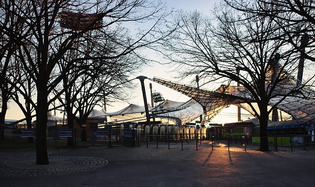 他们不再仅 他们不再仅