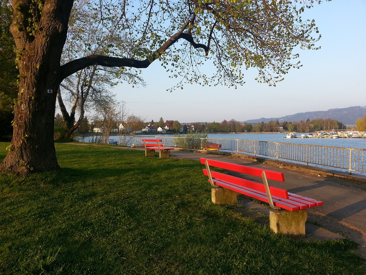 岩事业发展 岩事业发展